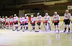 хоккей в архангельске во дворце спорта